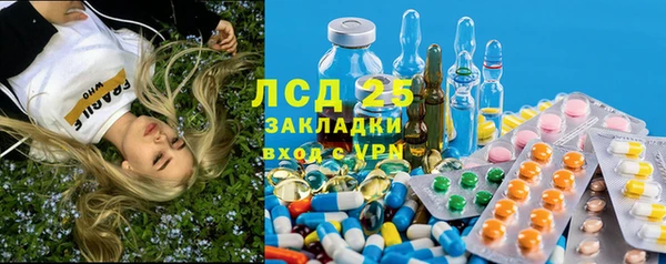 ECSTASY Богородицк